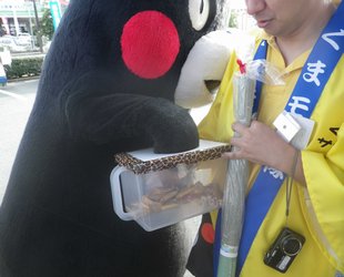 熊本県のアクアドームで技能祭